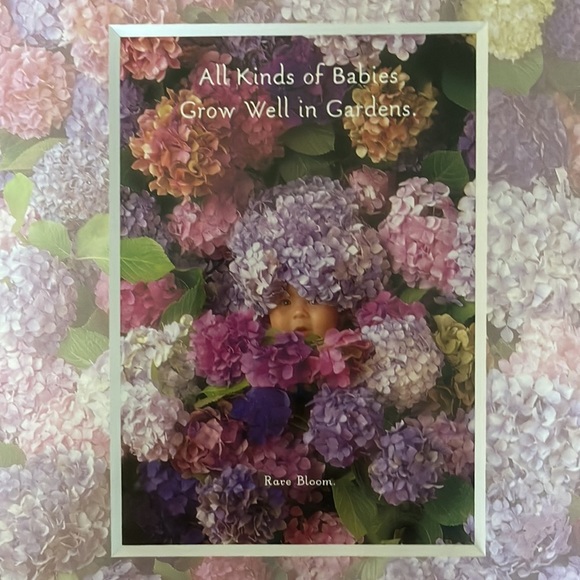 NIP Vintage ANNE GEDDES Rare Bloom Matted Hydrangeas 8" x 10" Lithograph Print - Picture 2 of 6